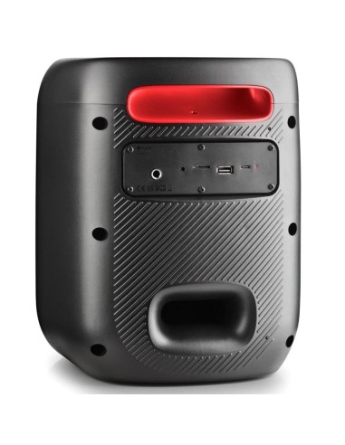 ALTAVOZ BT NGS WILD SWAG GO    80W PN:...